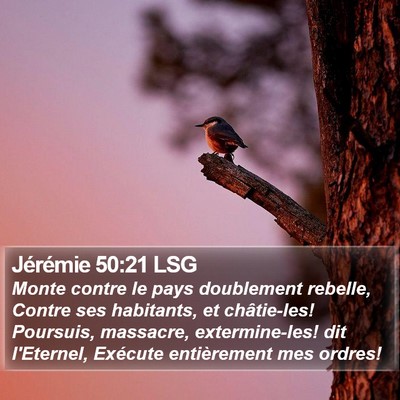 Jérémie 50:21 LSG Bible Verse Image