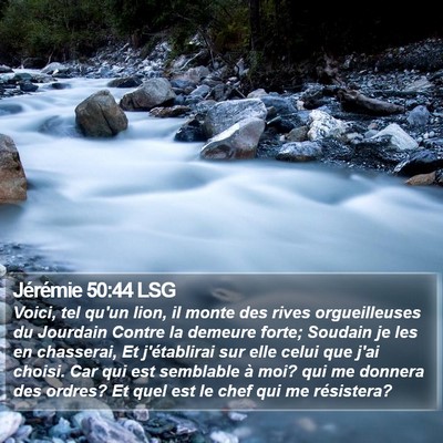 Jérémie 50:44 LSG Bible Verse Image
