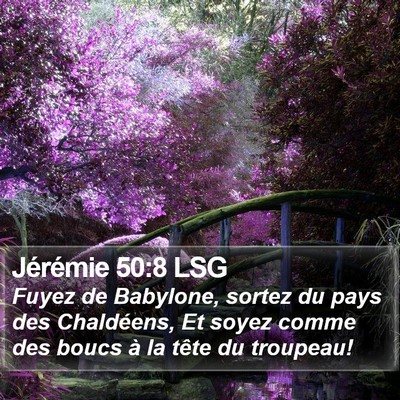 Jérémie 50:8 LSG Bible Verse Image