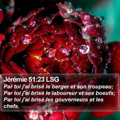 Jérémie 51:23 LSG Bible Verse Image