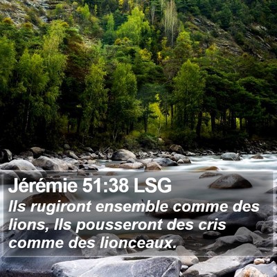 Jérémie 51:38 LSG Bible Verse Image