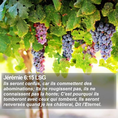 Jérémie 6:15 LSG Bible Verse Image