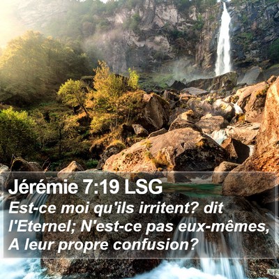 Jérémie 7:19 LSG Bible Verse Image