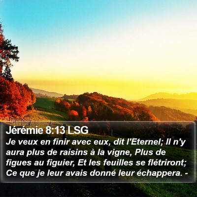 Jérémie 8:13 LSG Bible Verse Image