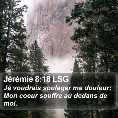 Jérémie 8:18 LSG Bible Verse Image