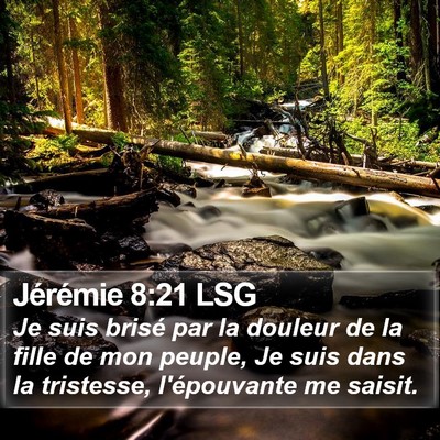 Jérémie 8:21 LSG Bible Verse Image