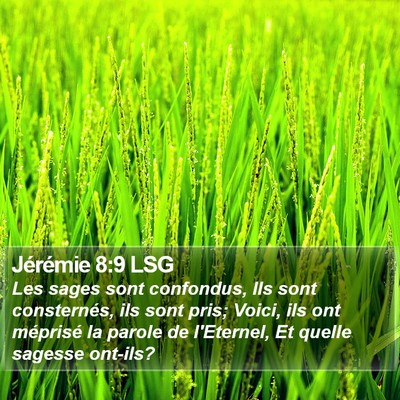 Jérémie 8:9 LSG Bible Verse Image
