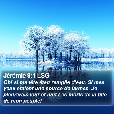 Jérémie 9:1 LSG Bible Verse Image