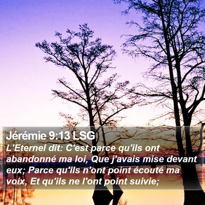 Jérémie 9:13 LSG Bible Verse Image