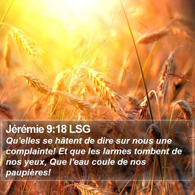 Jérémie 9:18 LSG Bible Verse Image