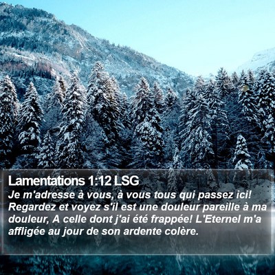 Lamentations 1:12 LSG Bible Verse Image