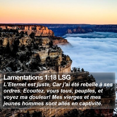 Lamentations 1:18 LSG Bible Verse Image