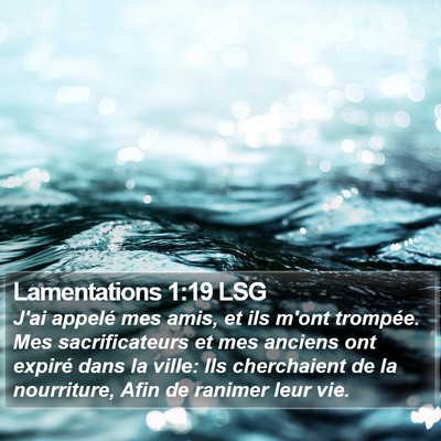 Lamentations 1:19 LSG Bible Verse Image
