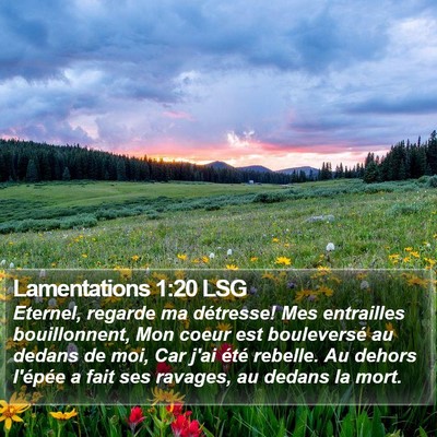 Lamentations 1:20 LSG Bible Verse Image