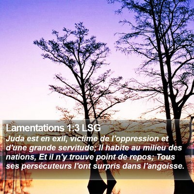Lamentations 1:3 LSG Bible Verse Image