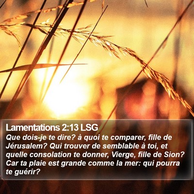 Lamentations 2:13 LSG Bible Verse Image