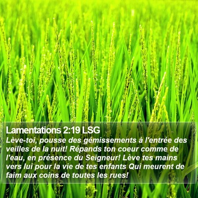 Lamentations 2:19 LSG Bible Verse Image