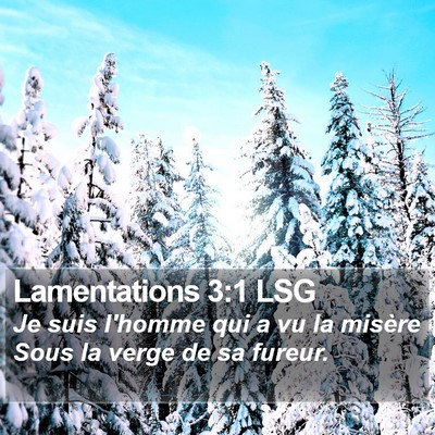 Lamentations 3:1 LSG Bible Verse Image
