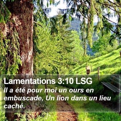 Lamentations 3:10 LSG Bible Verse Image