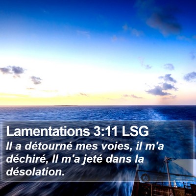 Lamentations 3:11 LSG Bible Verse Image