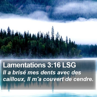 Lamentations 3:16 LSG Bible Verse Image