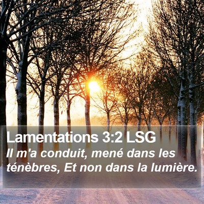 Lamentations 3:2 LSG Bible Verse Image