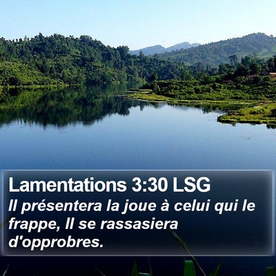 Lamentations 3:30 LSG Bible Verse Image
