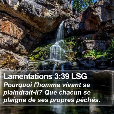 Lamentations 3:39 LSG Bible Verse Image