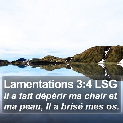 Lamentations 3:4 LSG Bible Verse Image