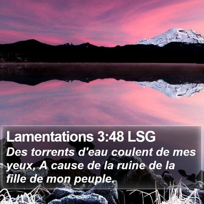 Lamentations 3:48 LSG Bible Verse Image