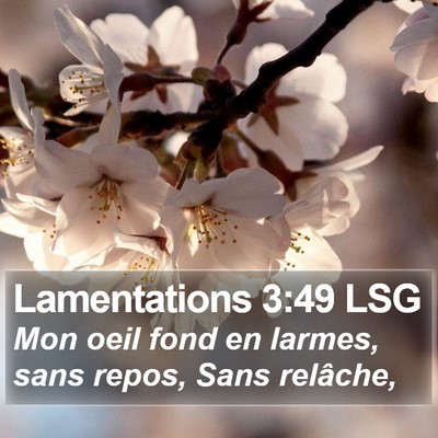 Lamentations 3:49 LSG Bible Verse Image