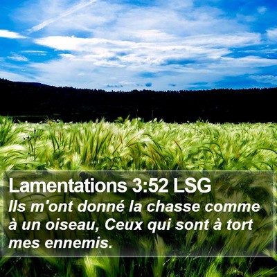 Lamentations 3:52 LSG Bible Verse Image