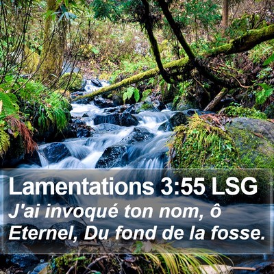 Lamentations 3:55 LSG Bible Verse Image