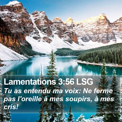Lamentations 3:56 LSG Bible Verse Image