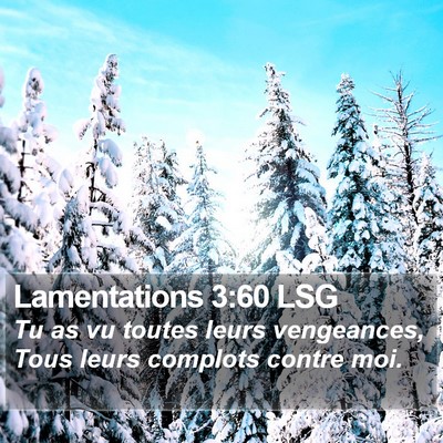 Lamentations 3:60 LSG Bible Verse Image
