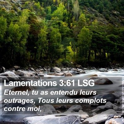 Lamentations 3:61 LSG Bible Verse Image