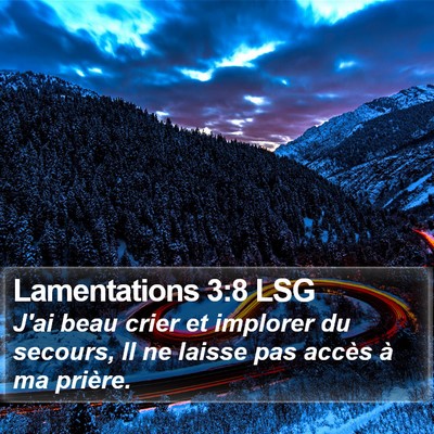 Lamentations 3:8 LSG Bible Verse Image