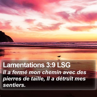 Lamentations 3:9 LSG Bible Verse Image