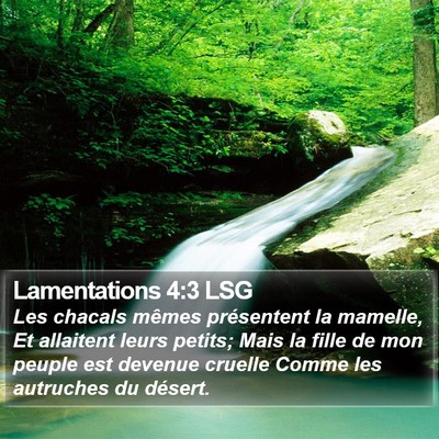 Lamentations 4:3 LSG Bible Verse Image