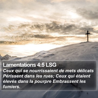 Lamentations 4:5 LSG Bible Verse Image