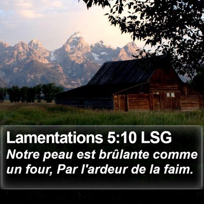 Lamentations 5:10 LSG Bible Verse Image