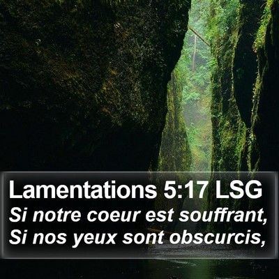 Lamentations 5:17 LSG Bible Verse Image