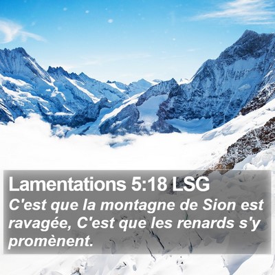 Lamentations 5:18 LSG Bible Verse Image