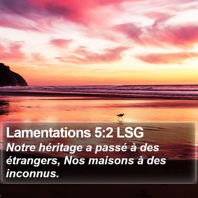Lamentations 5:2 LSG Bible Verse Image