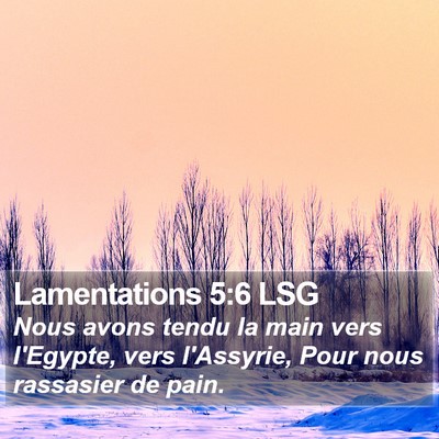Lamentations 5:6 LSG Bible Verse Image