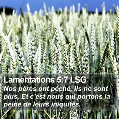 Lamentations 5:7 LSG Bible Verse Image