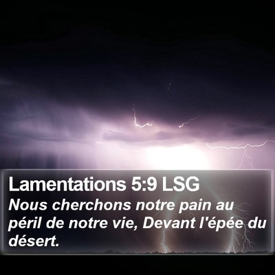 Lamentations 5:9 LSG Bible Verse Image
