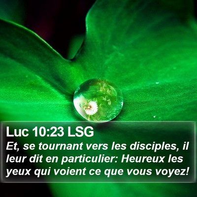 Luc 10:23 LSG Bible Verse Image