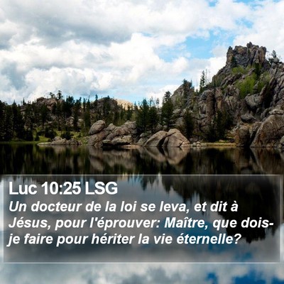 Luc 10:25 LSG Bible Verse Image