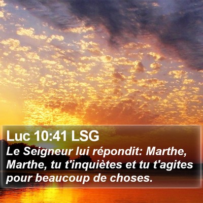 Luc 10:41 LSG Bible Verse Image